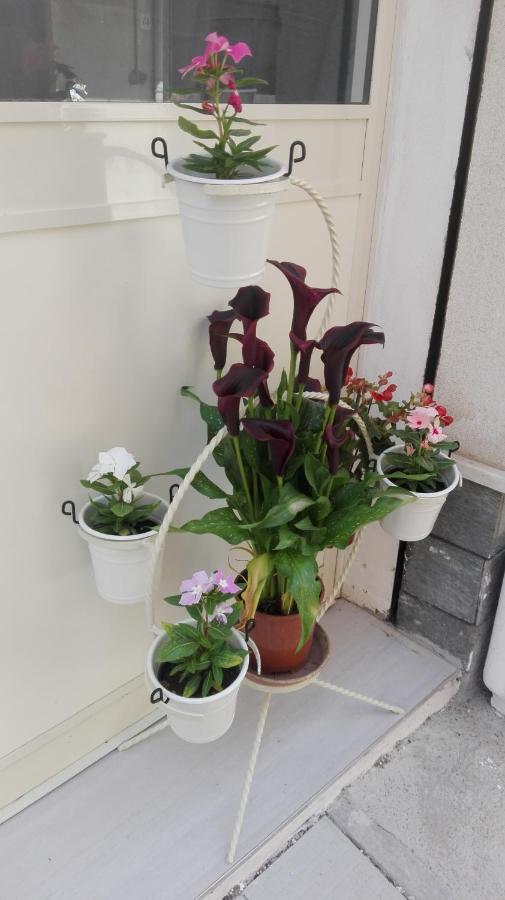 Sweety House Bed & Breakfast San Giovanni Gemini Exterior foto